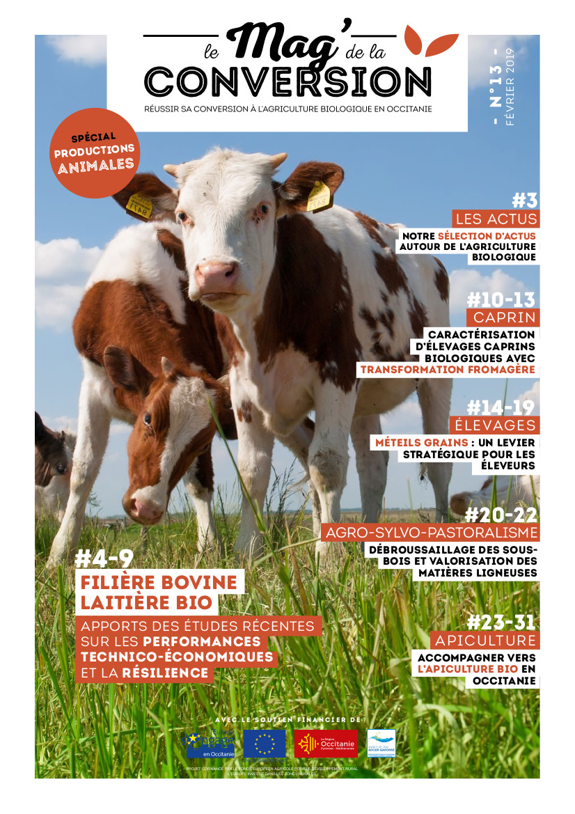 Mag de la Conversion 13